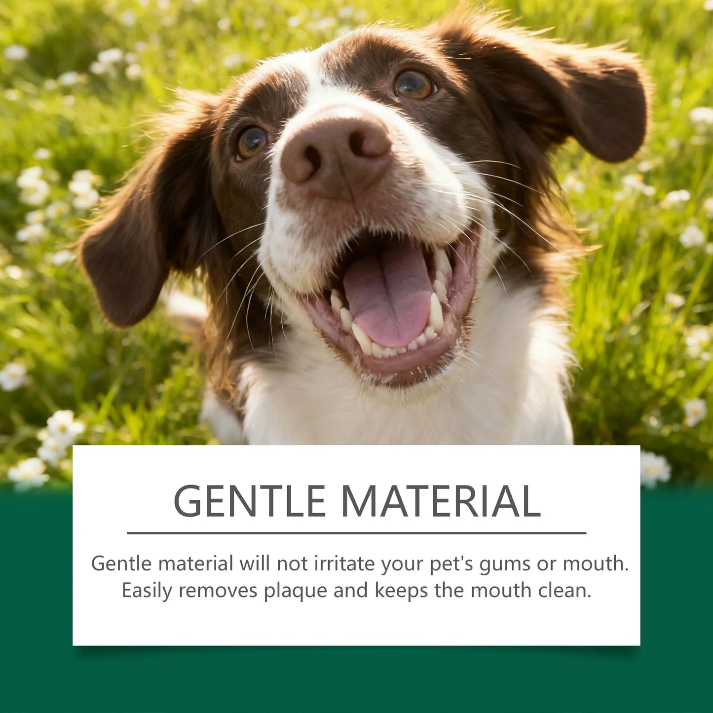 Pet Teeth Cleaning Wipes: Cleans Food Residues in Teeth Gaps, Eliminates Bad Breath, Freshens Mouth, Easy to Use